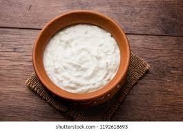 Plain Dahi