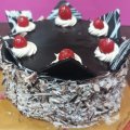 Choco Forest Cake 